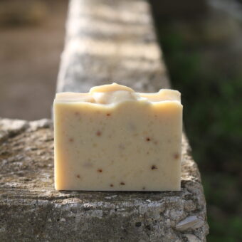 The best shampoo bar handmade organic