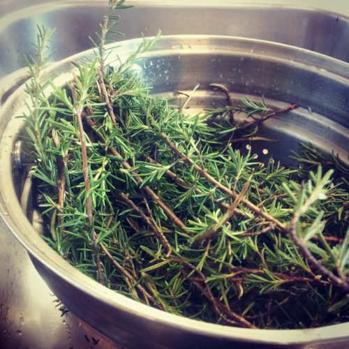 Rosemary Essential Oil for soap