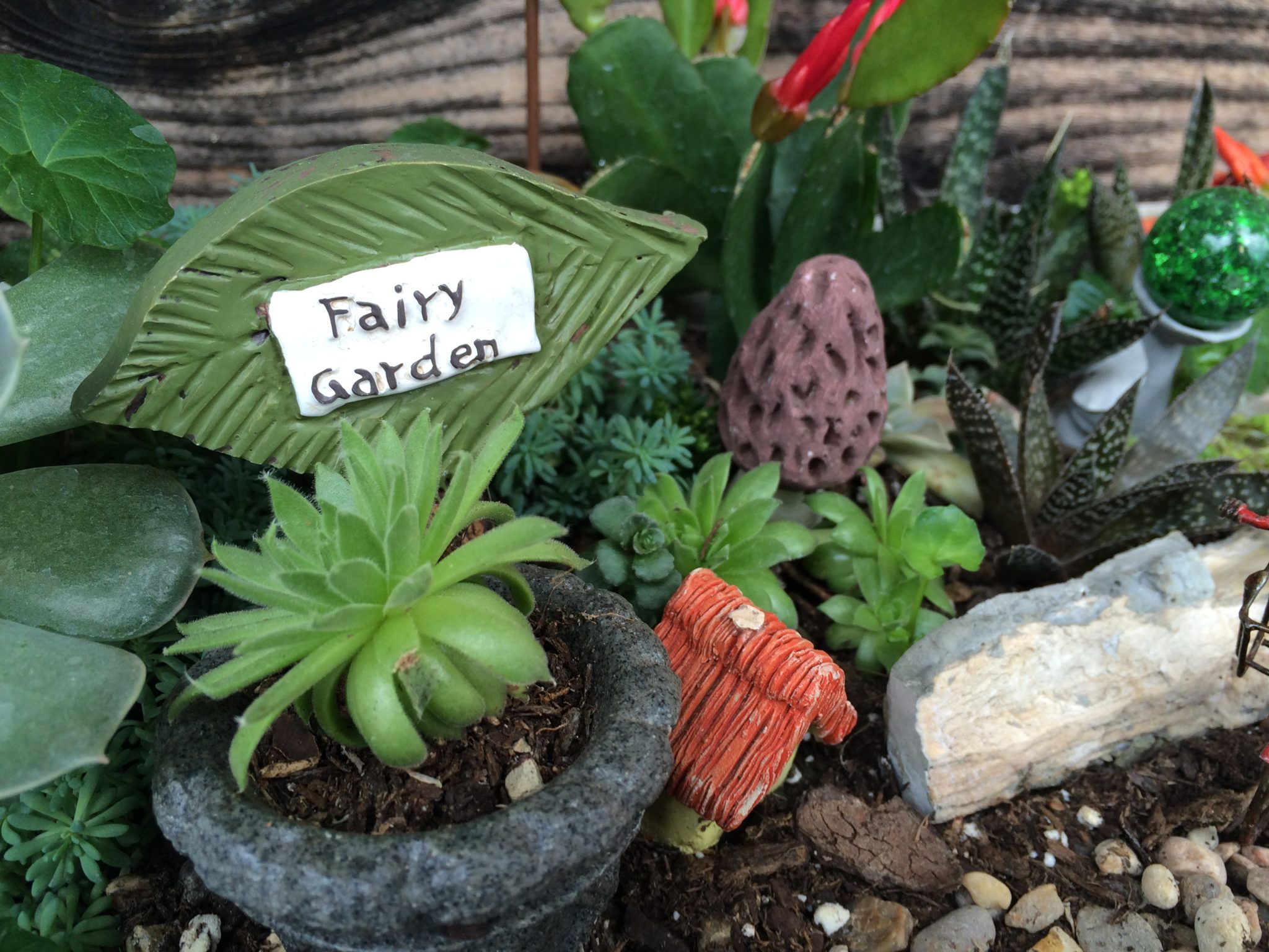 Wimberley Market Days In the Garden With Dinah Old Factory Soap Company