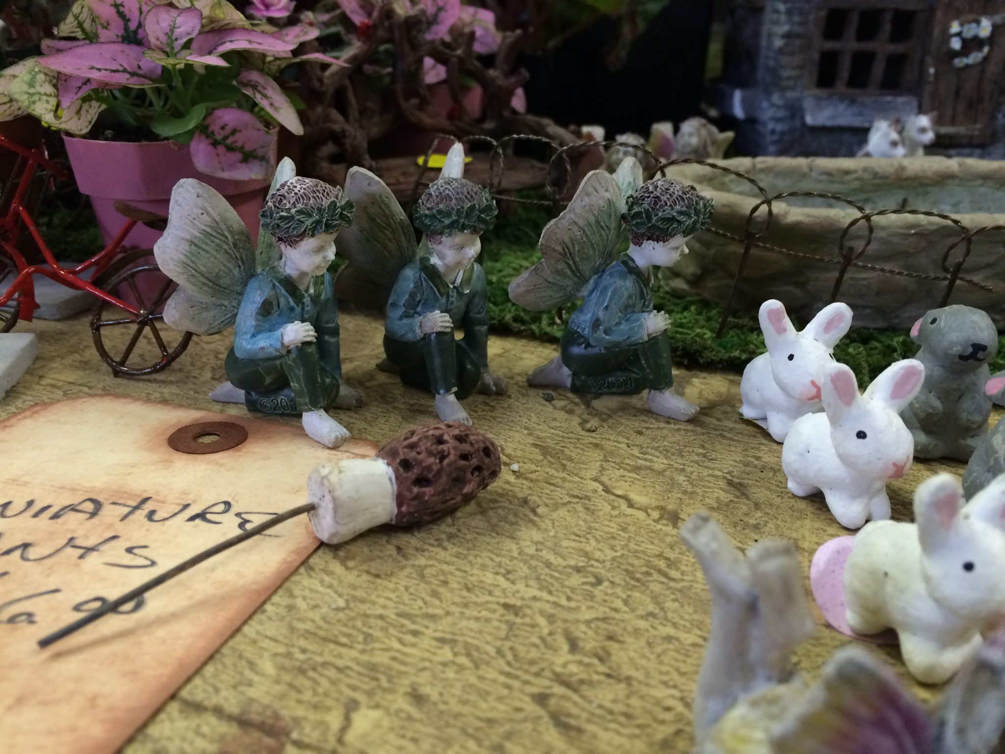 Wimberley Market Days Texas Fairy Gardens with Dinah