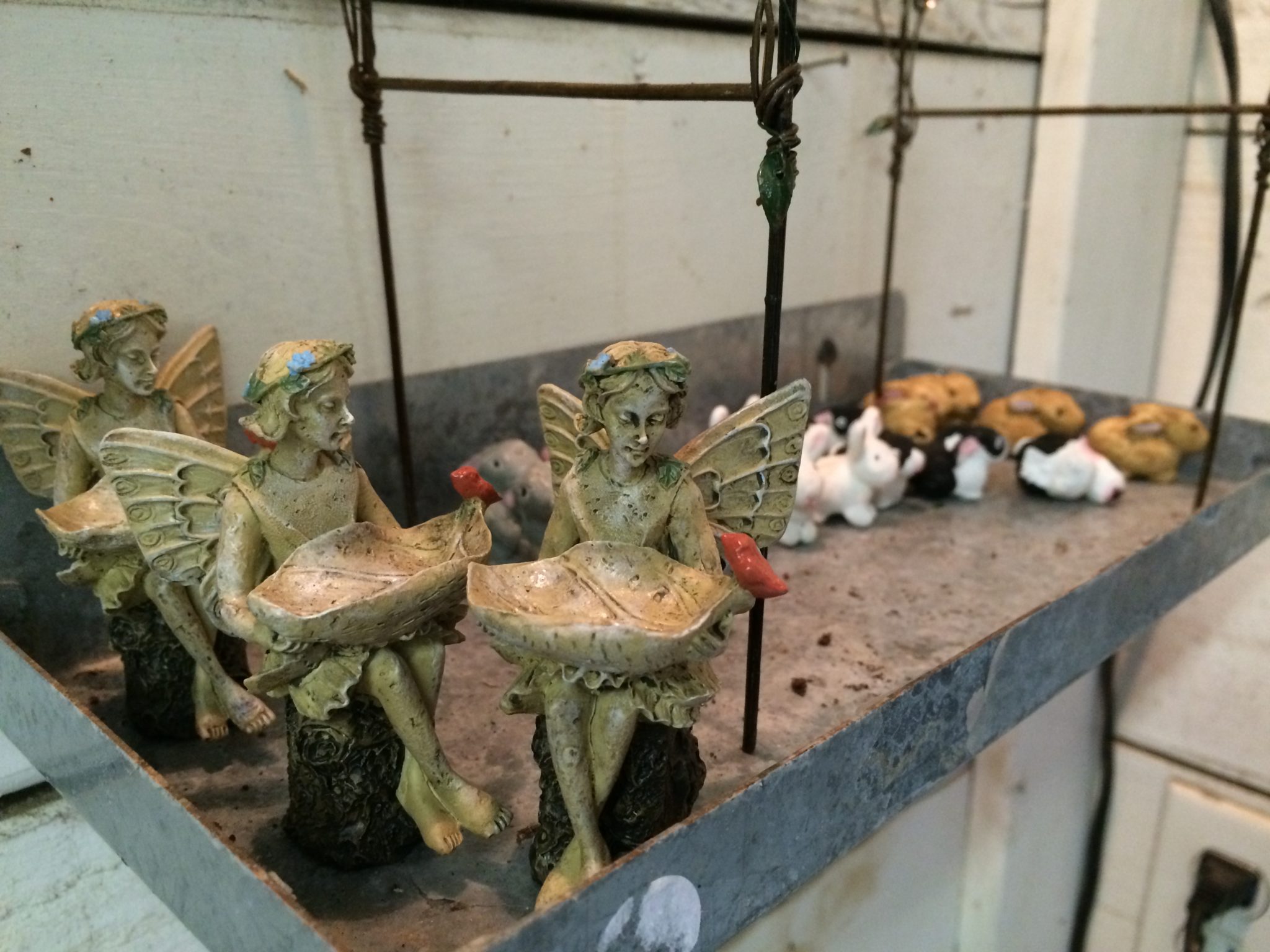 Fairy Gardens at Wimberley Market Days in Texas