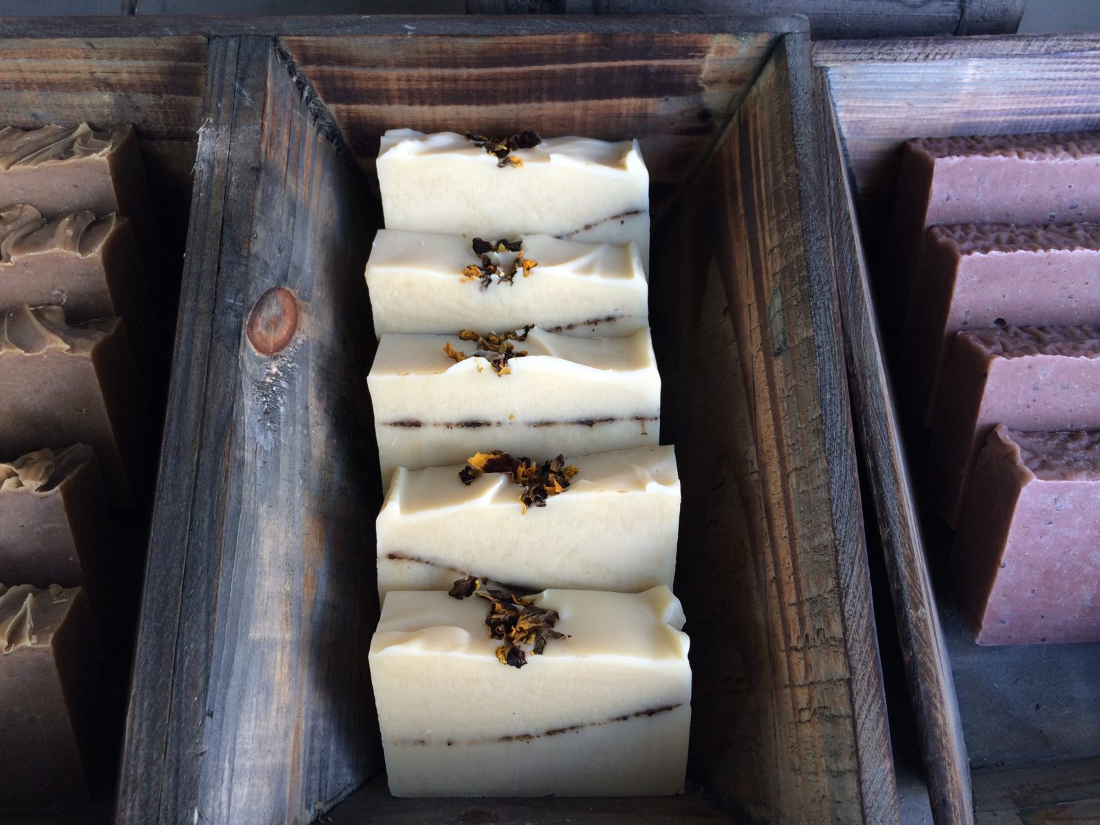 prairie coneflower essential oil custom soap by old factory texas