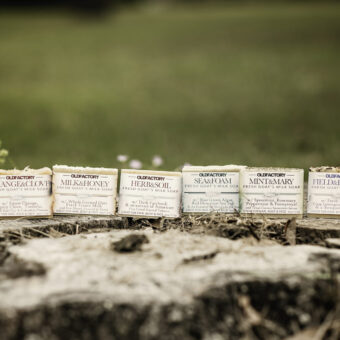 Goats Milk Soap Collection Blanco Texas Old Factory Soap