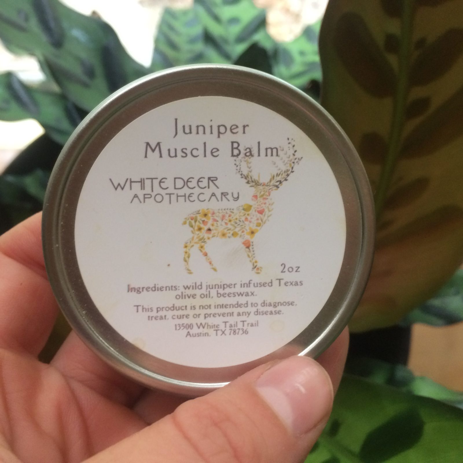 White Deer Apothecary Muscle Balm Juniper Herbalist