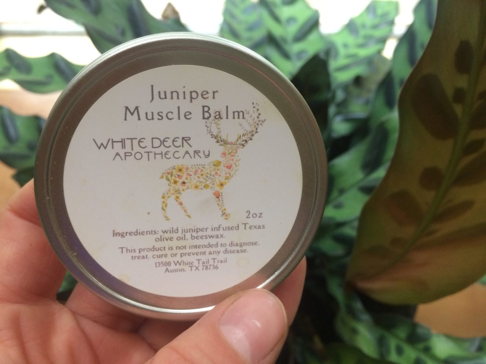 White Deer Apothecary Muscle Salve juniper Hill Contry