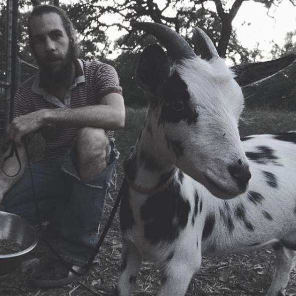 Nigerian Dwarf Goats in Wimberley Texas Goats Milk Soap Old Factory LLC