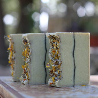 Tea Tree Eucalyptus Lemon Cornmint Limited Edition Soap by Old Factory Blanco Texas