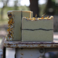 Tea Tree Eucalyptus Lemon Cornmint Limited Edition Soap by Old Factory Blanco Texas