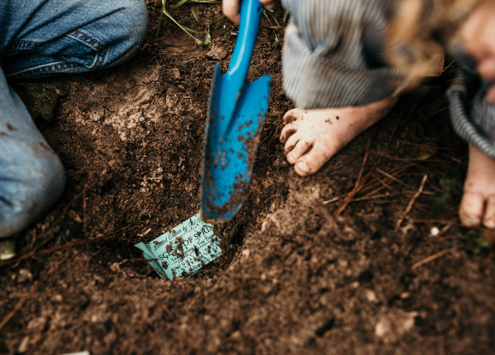 How to plant botanical seed paper from spring limited edition old factory soapc
