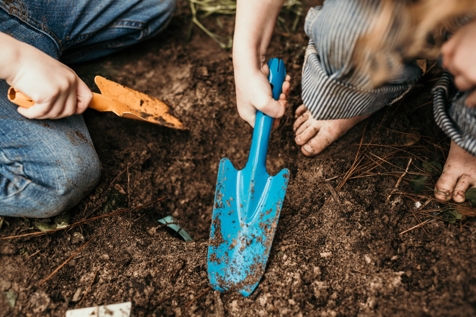 How to plant botanical seed paper from spring limited edition old factory soapc