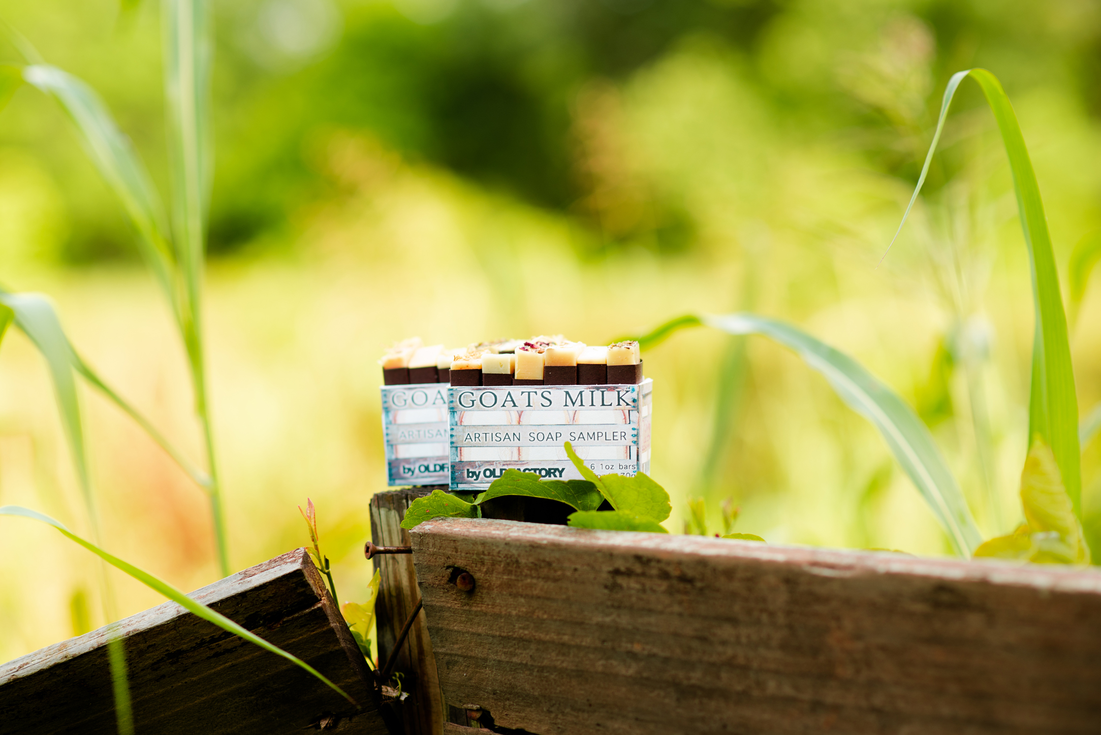 Goats Milk Soap Sampler Nigerian Dwarf Goat Blanco Texas