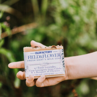 Alternative view of Field & Flower