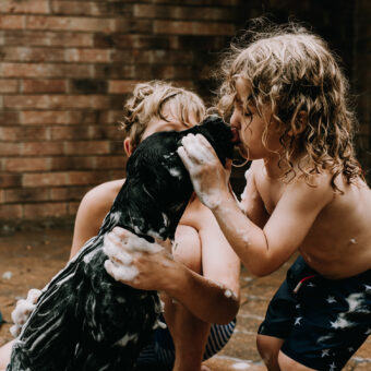 Natural Organic Dog Soap for dogs with sensitive skin