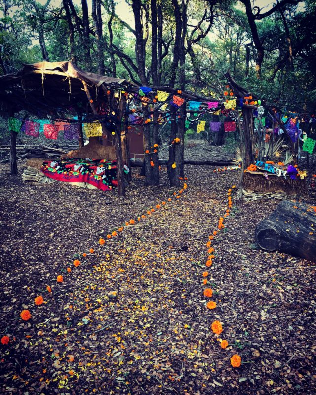 Moonflower Herb Fest Austin Texas 2019