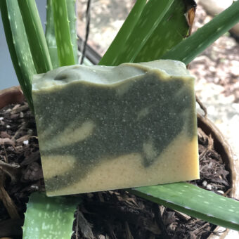 Basil Aloe Limited Edition Soap Old Factory Blanco Texas
