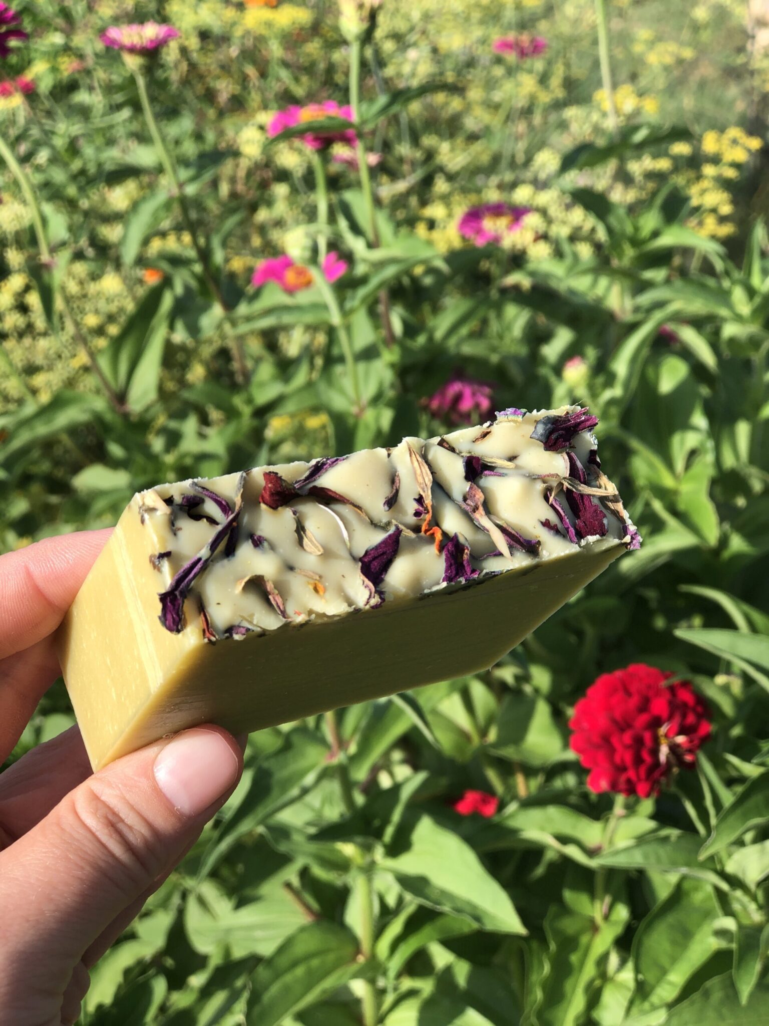 Fruits of Summer Limited Edition Organic Soap Blanco Texas