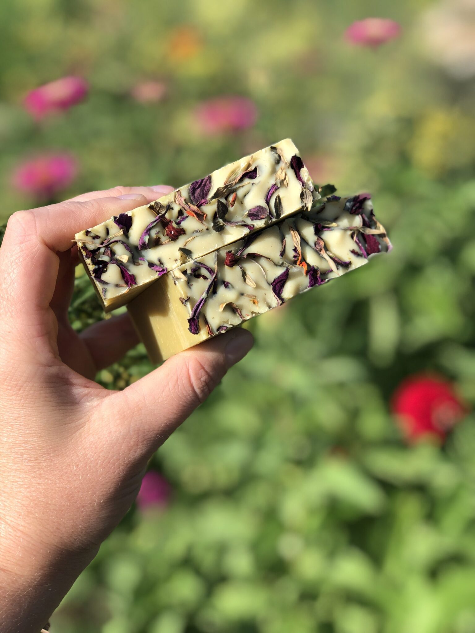 Fruits of Summer Limited Edition Organic Soap Blanco Texas