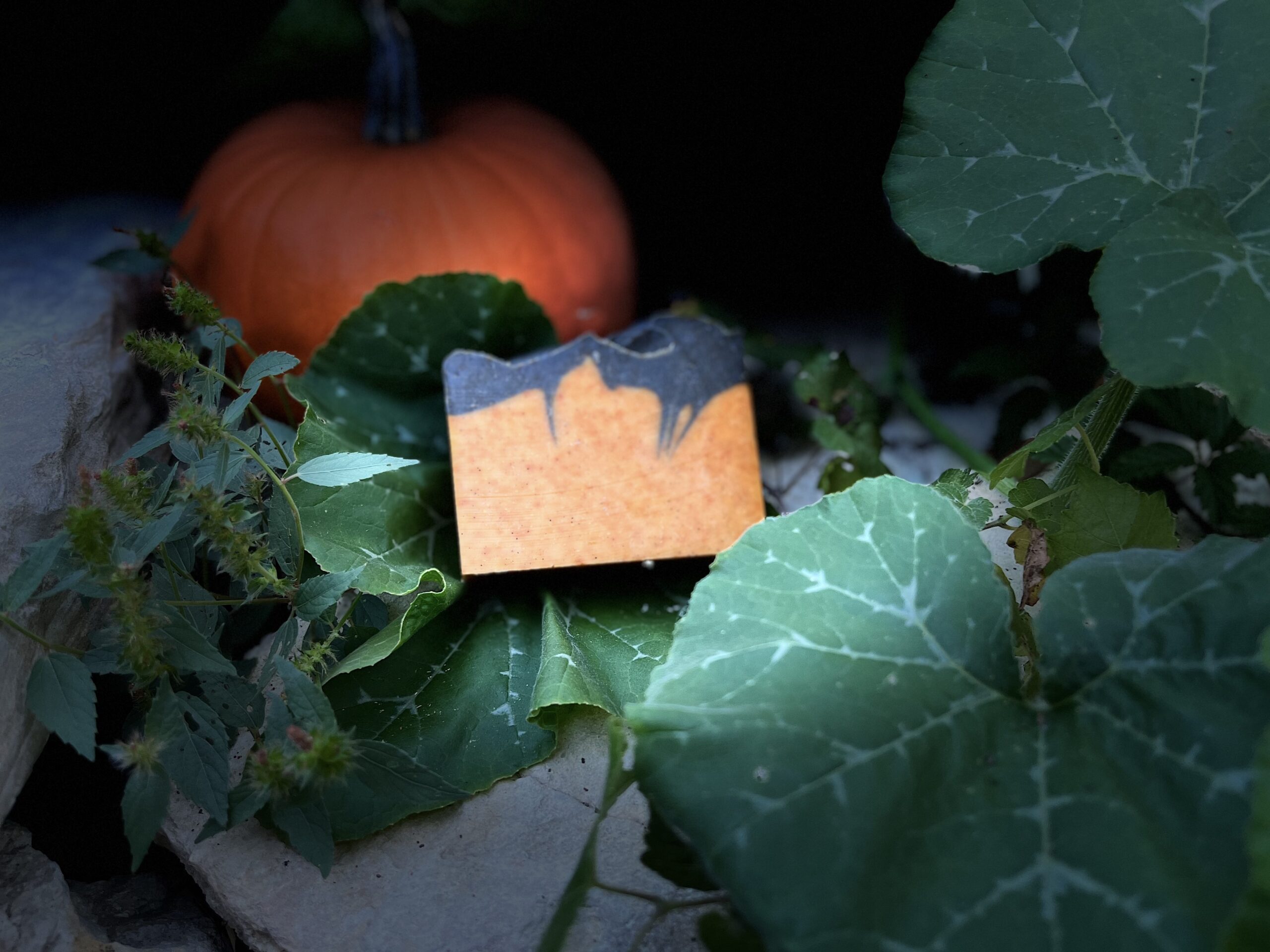 Limited Edition Pumpkin Moon Soap by Old Factory Soap