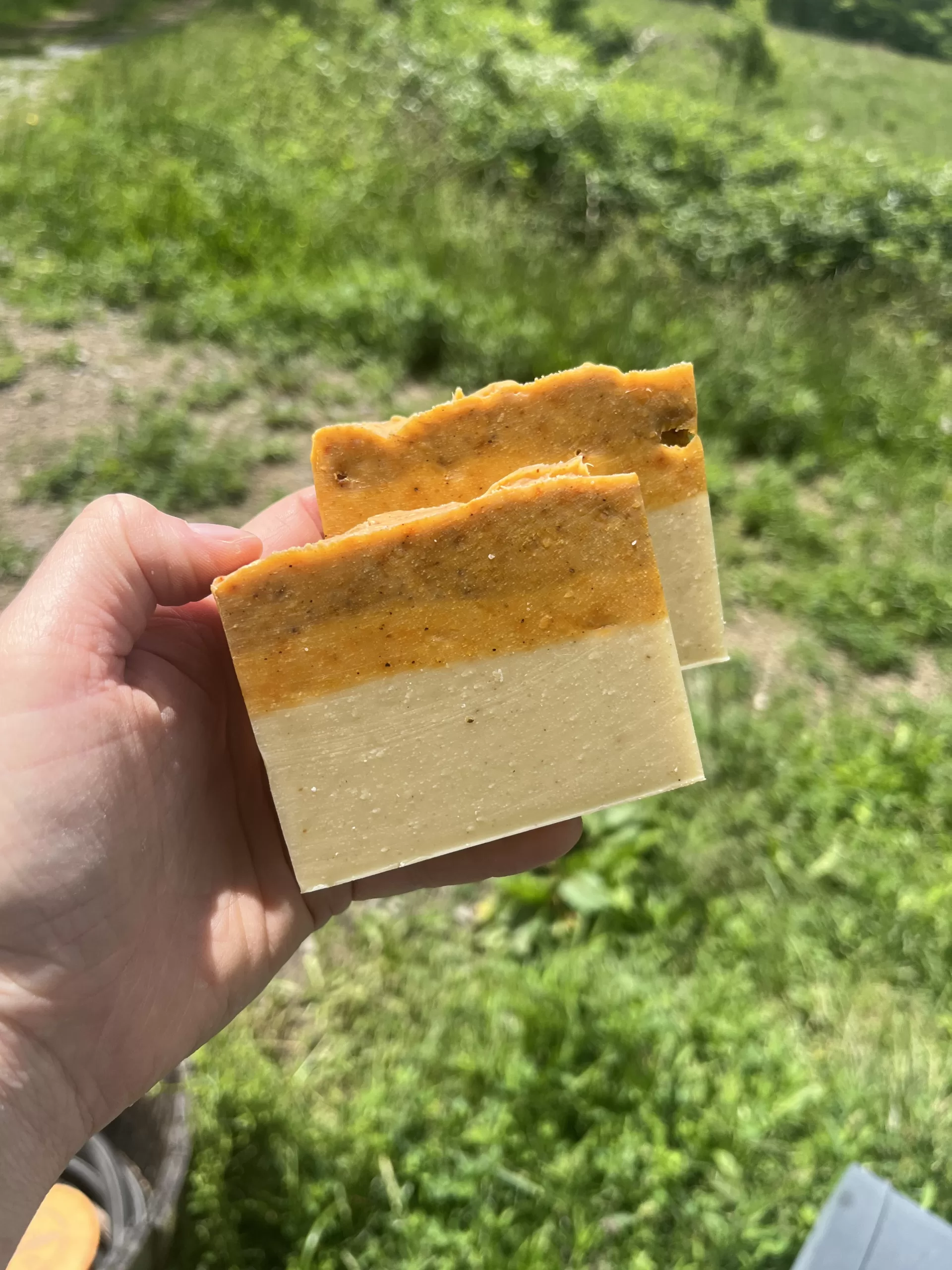 Revive Goats Milk Colostrum Soap Old Factory Soap Hot Springs North Carolina Limited edition