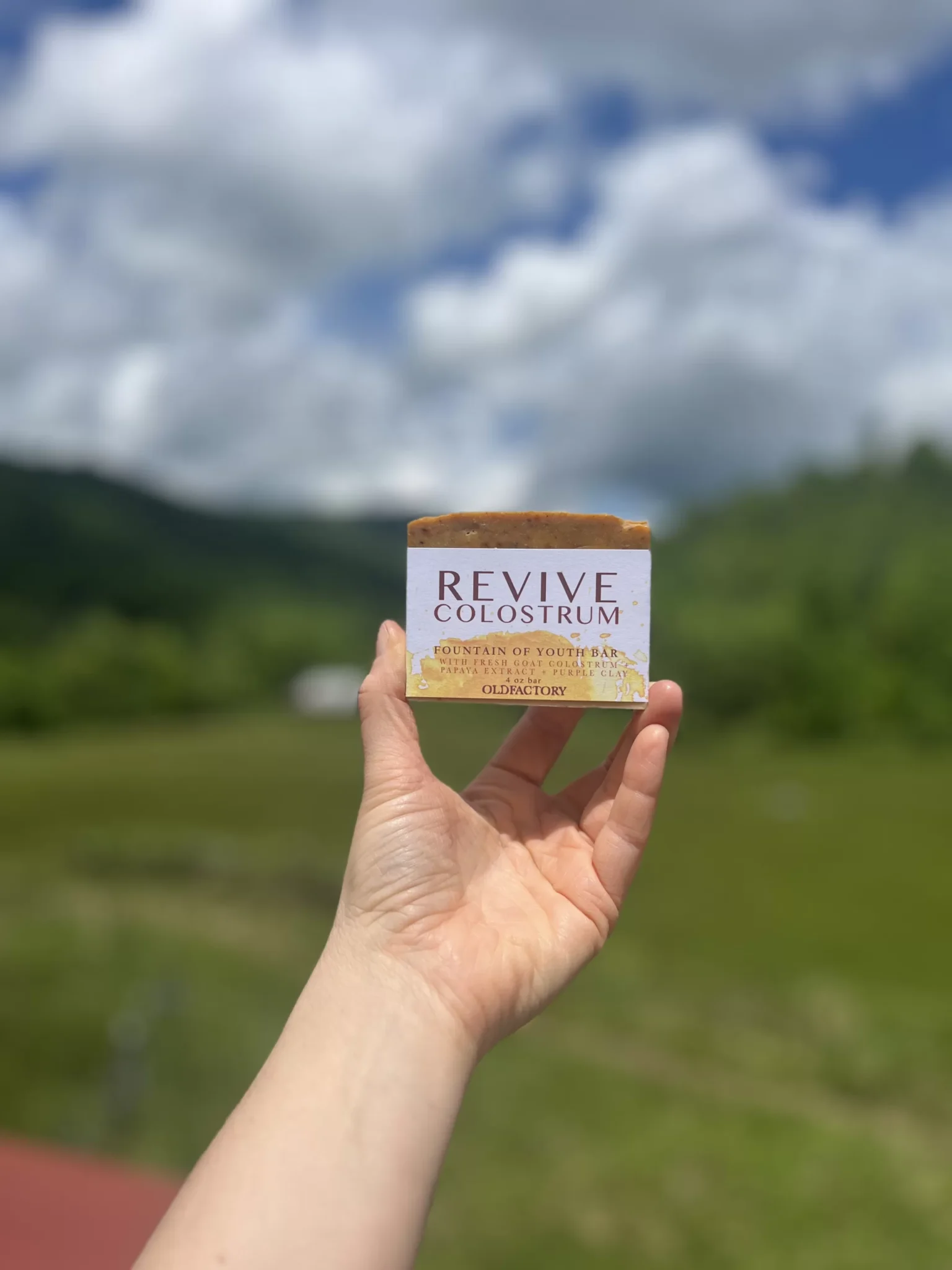 Revive Goats Milk Colostrum Soap Old Factory Soap Hot Springs North Carolina Limited edition