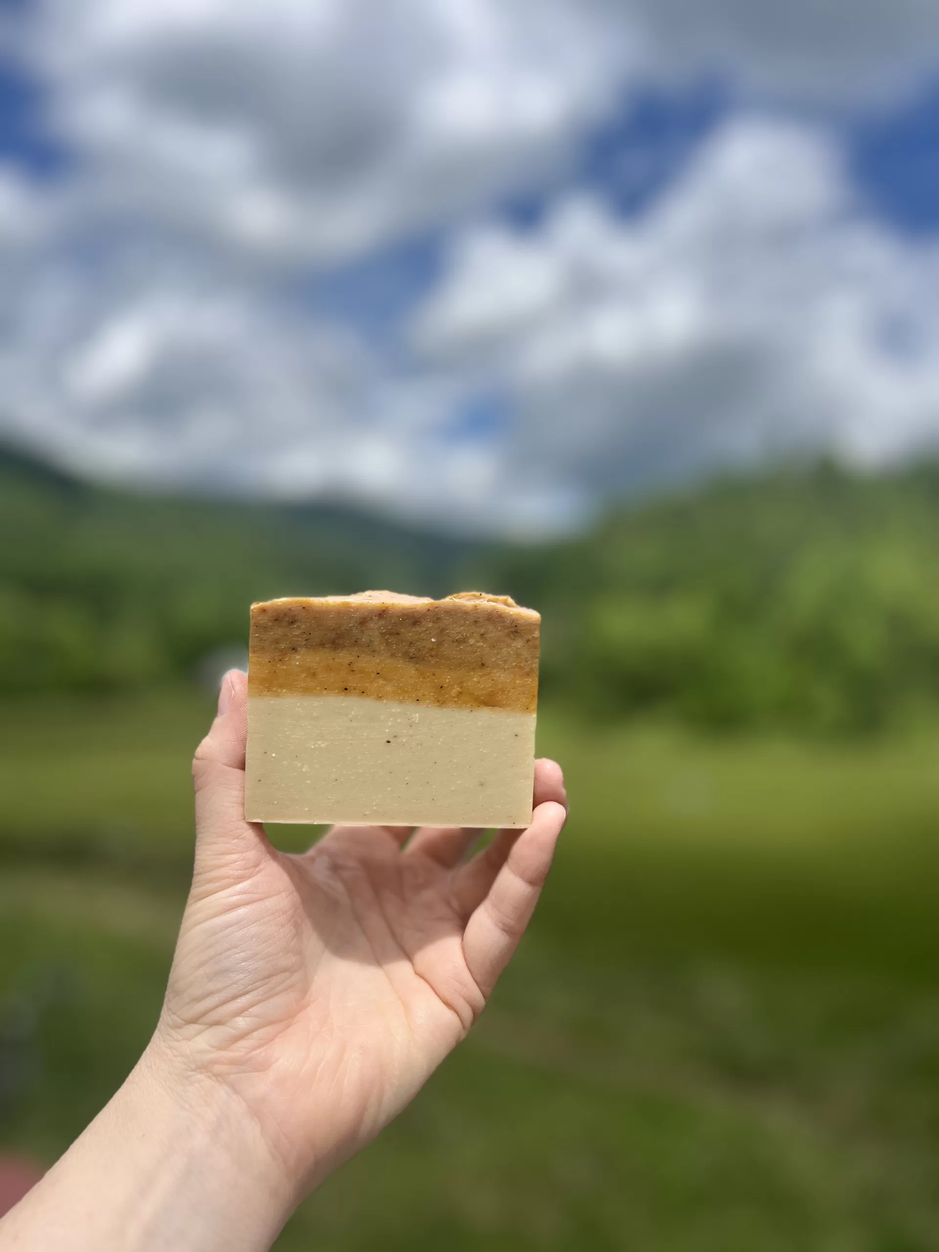 Revive Goats Milk Colostrum Soap Old Factory Soap Hot Springs North Carolina Limited edition