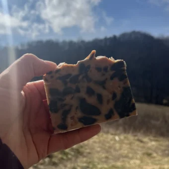 Funky dalmation red clay charcoal